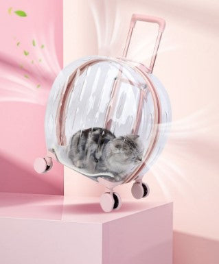 Transparent cat trolley case cat bag pet dog go out portable travel breathable bubble box portable large capacity